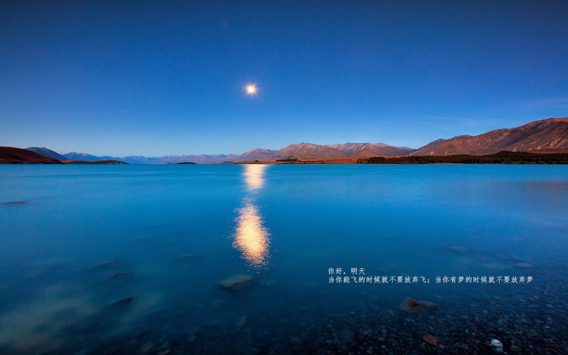 “高新体育中心:篮球赛上演惊险时刻,选手巅峰对抗”