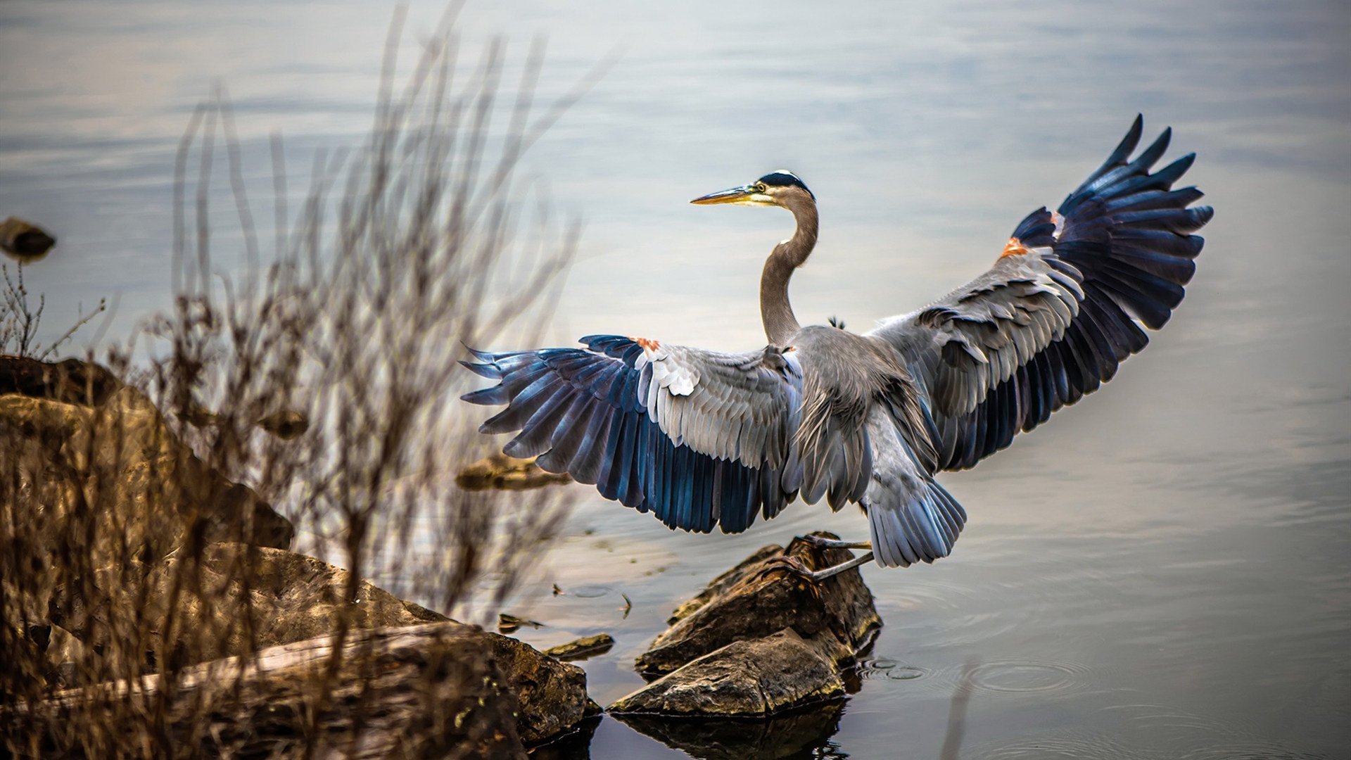 乐鱼体育(中国)官方网站-东亚杯中国足球迎战 球员状态稳定发挥，东亚杯中国队阵容
