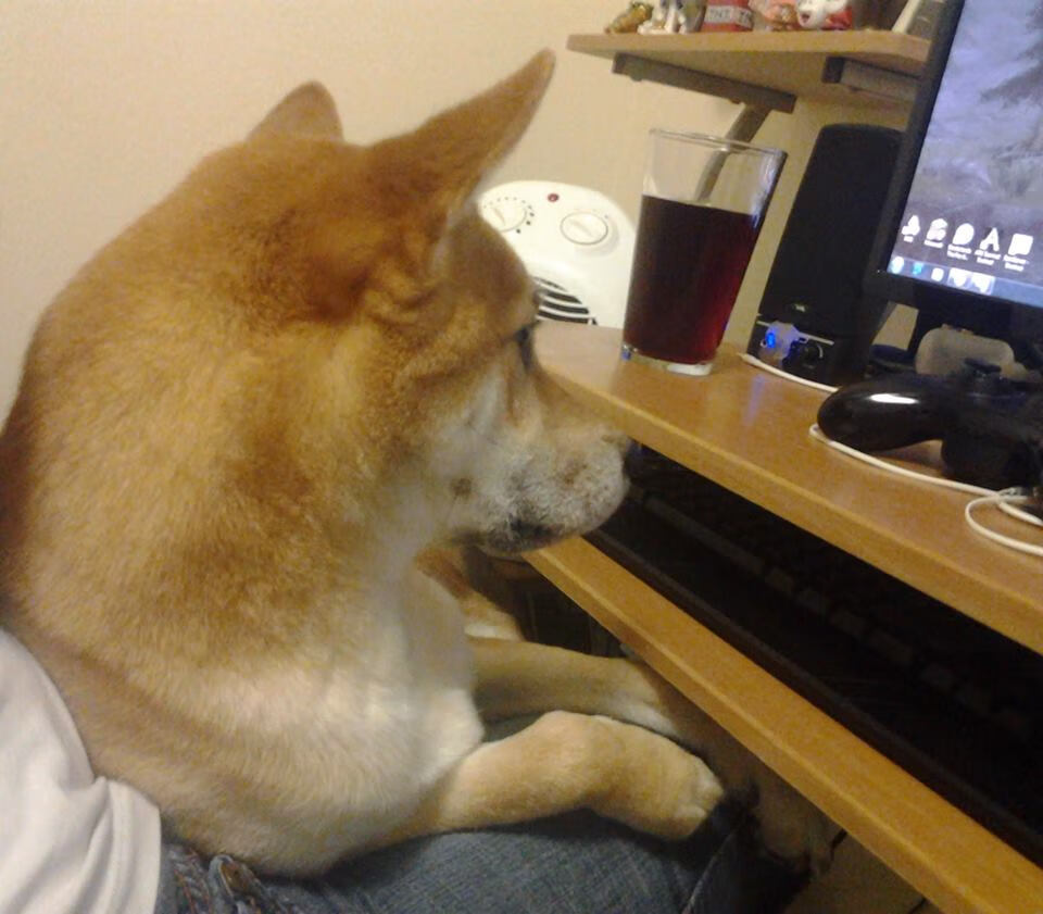 中国男篮投篮稳定性为何长期缺失,中国男篮投篮稳定性为何长期缺失的原因