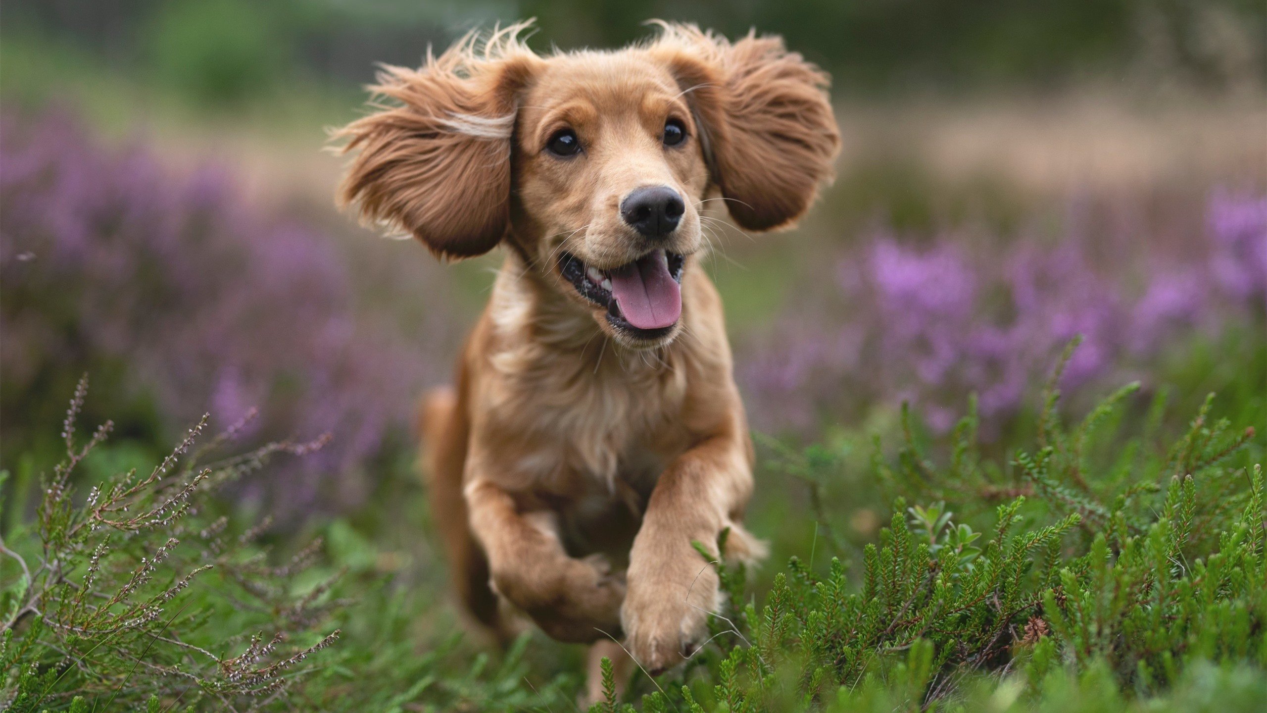 亚冠联赛中国青年队爆冷 球迷呼吁加强组织纪律,亚青会中国队