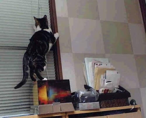 体育新闻中心构建多层次体育数据资源联动机制,体育信息化建设方案