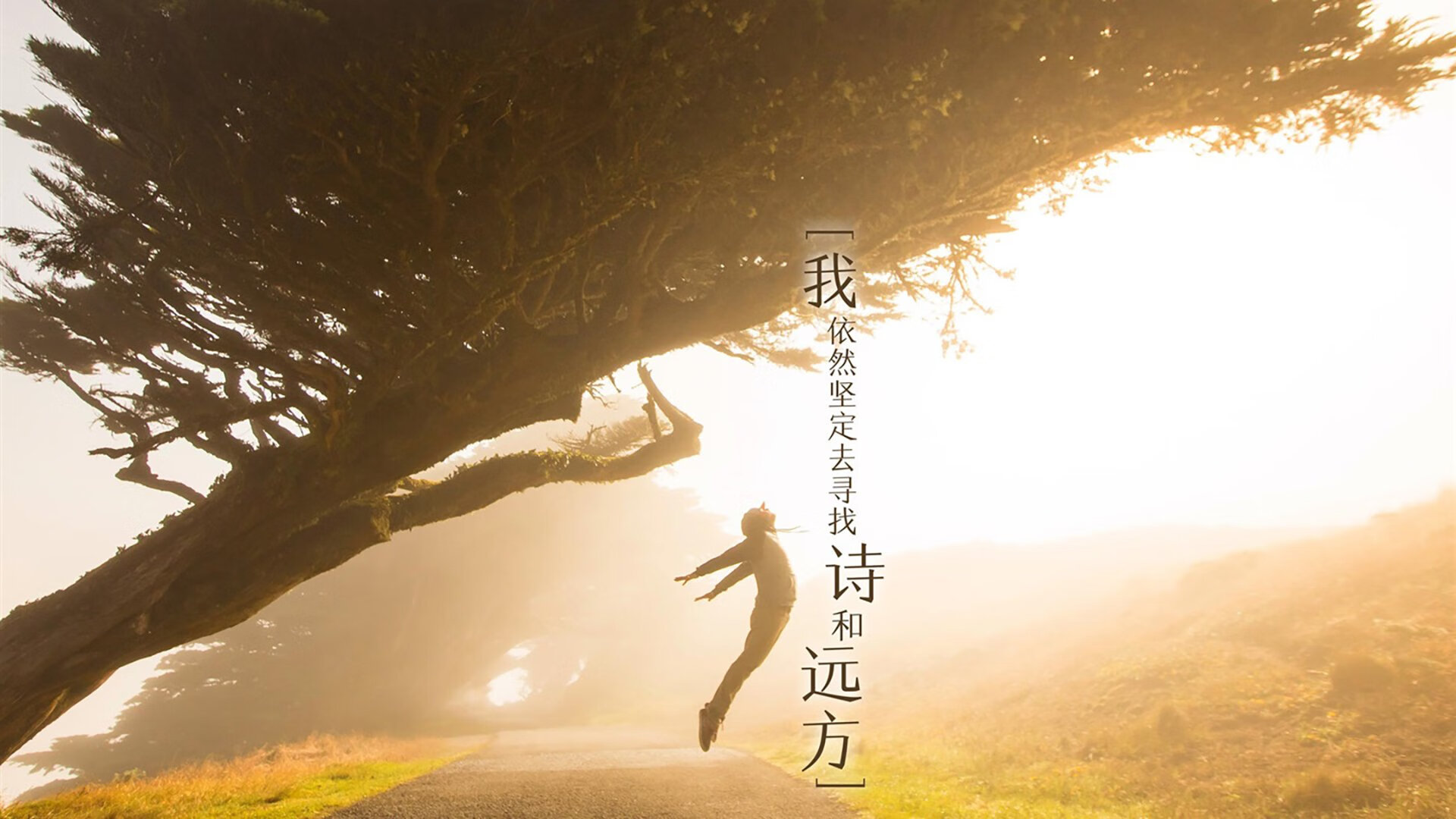 球队防守型中场是否更适合关键战逆风局安排，防守型中场百度百科