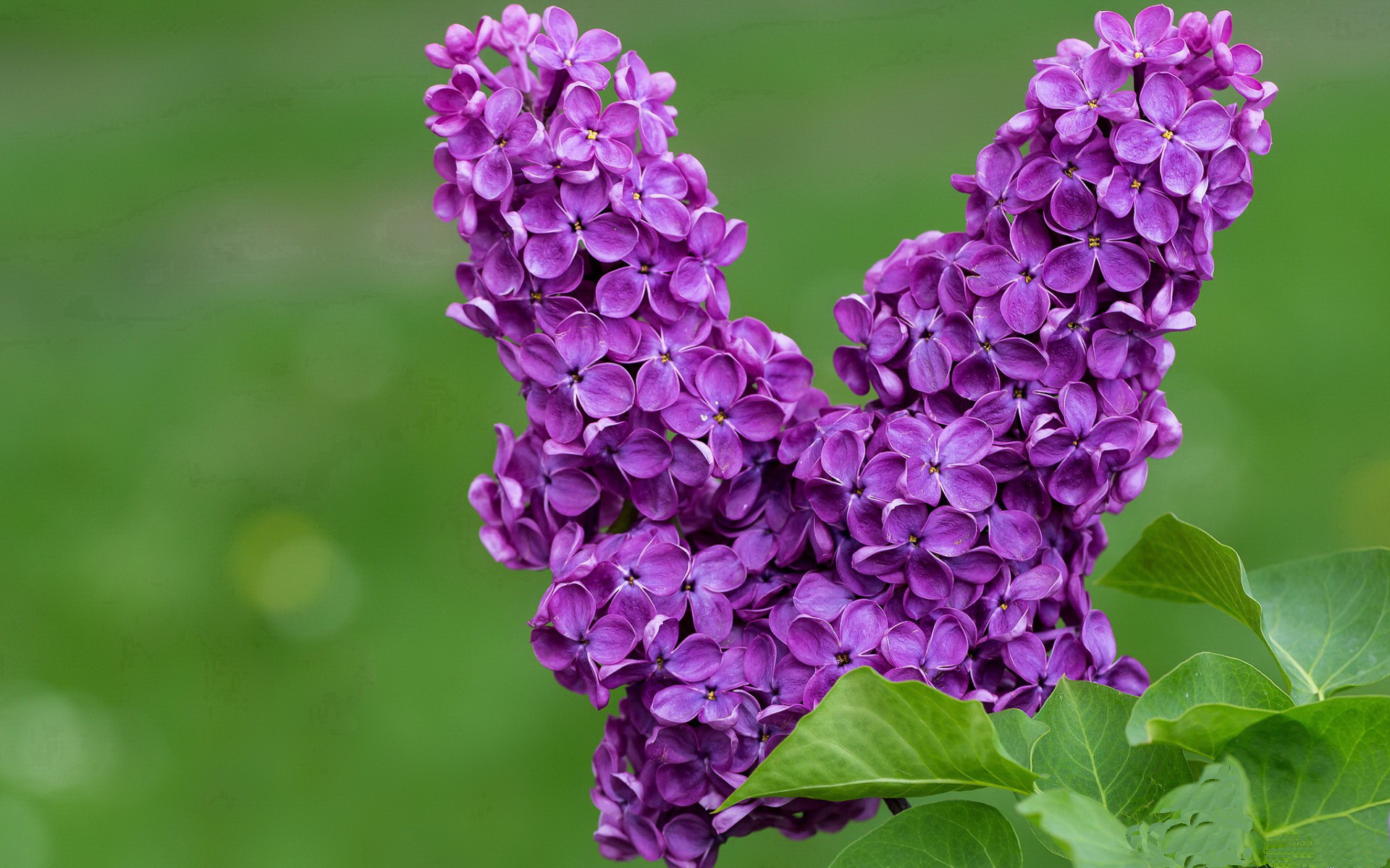 乐鱼官方登录入口-中乙球队试行季度小目标积分系统激发团队成长，中乙积分2021