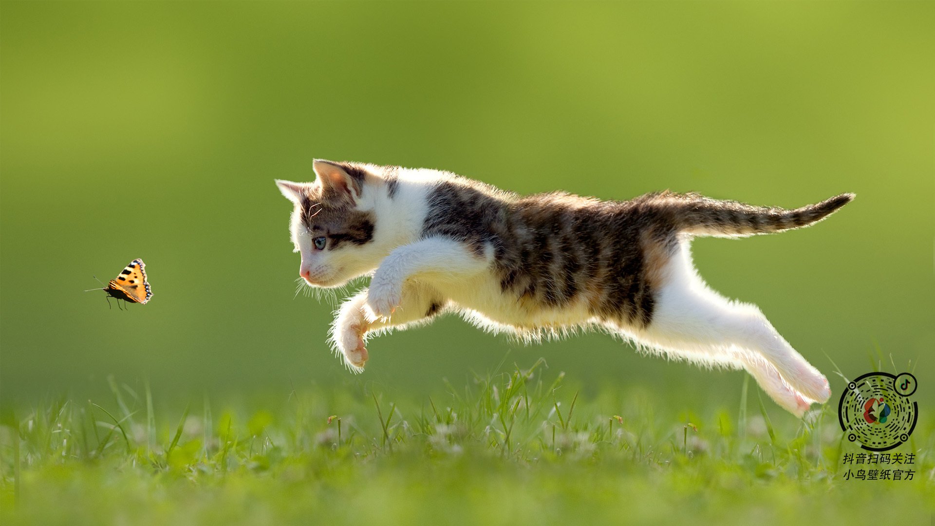 国家游泳中心发布水上项目设备安全检修通告,国家游泳场