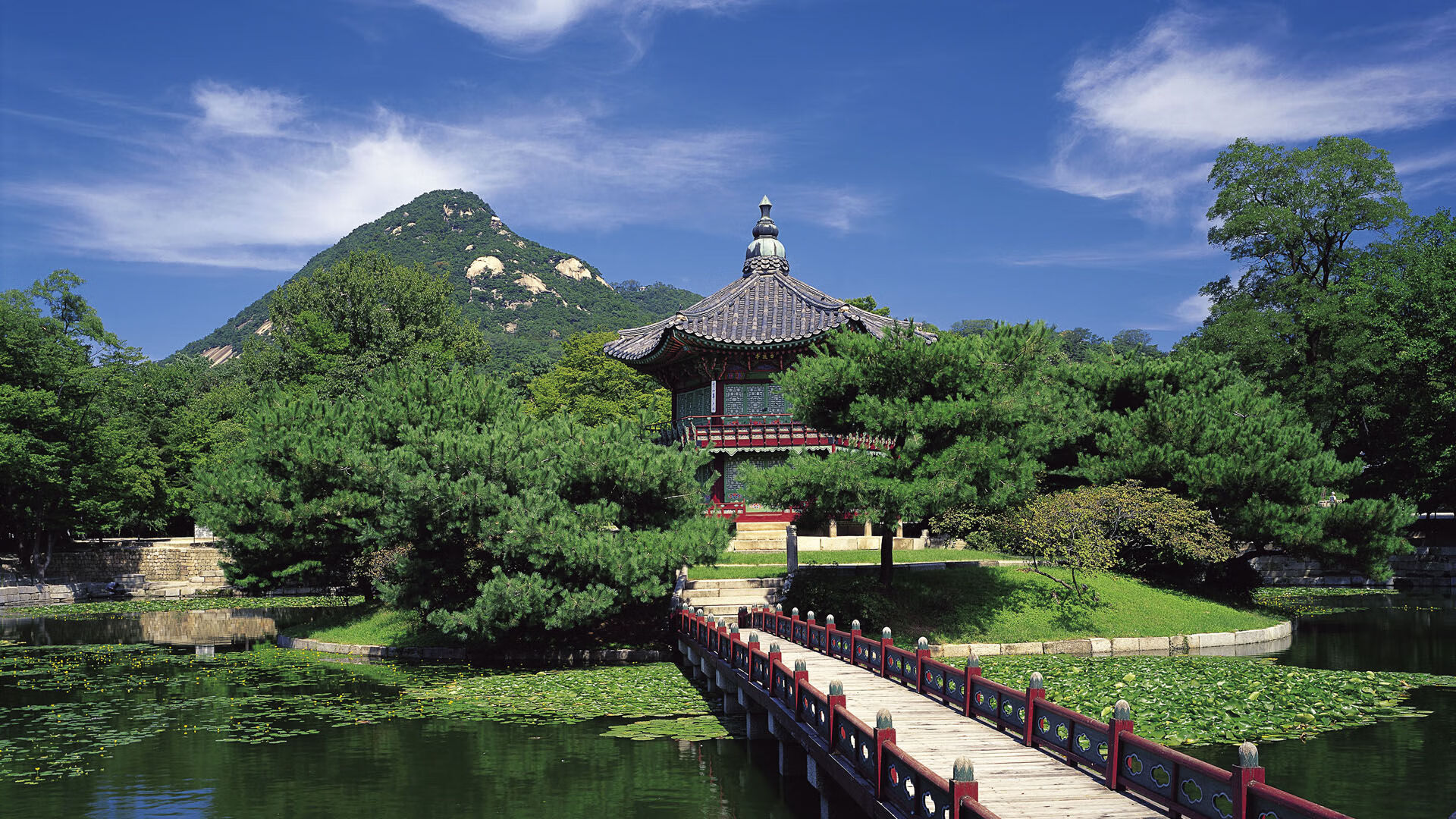 奥康纳在橄榄球冠军锦标赛中再度刷新个人纪录，josh 奥康纳