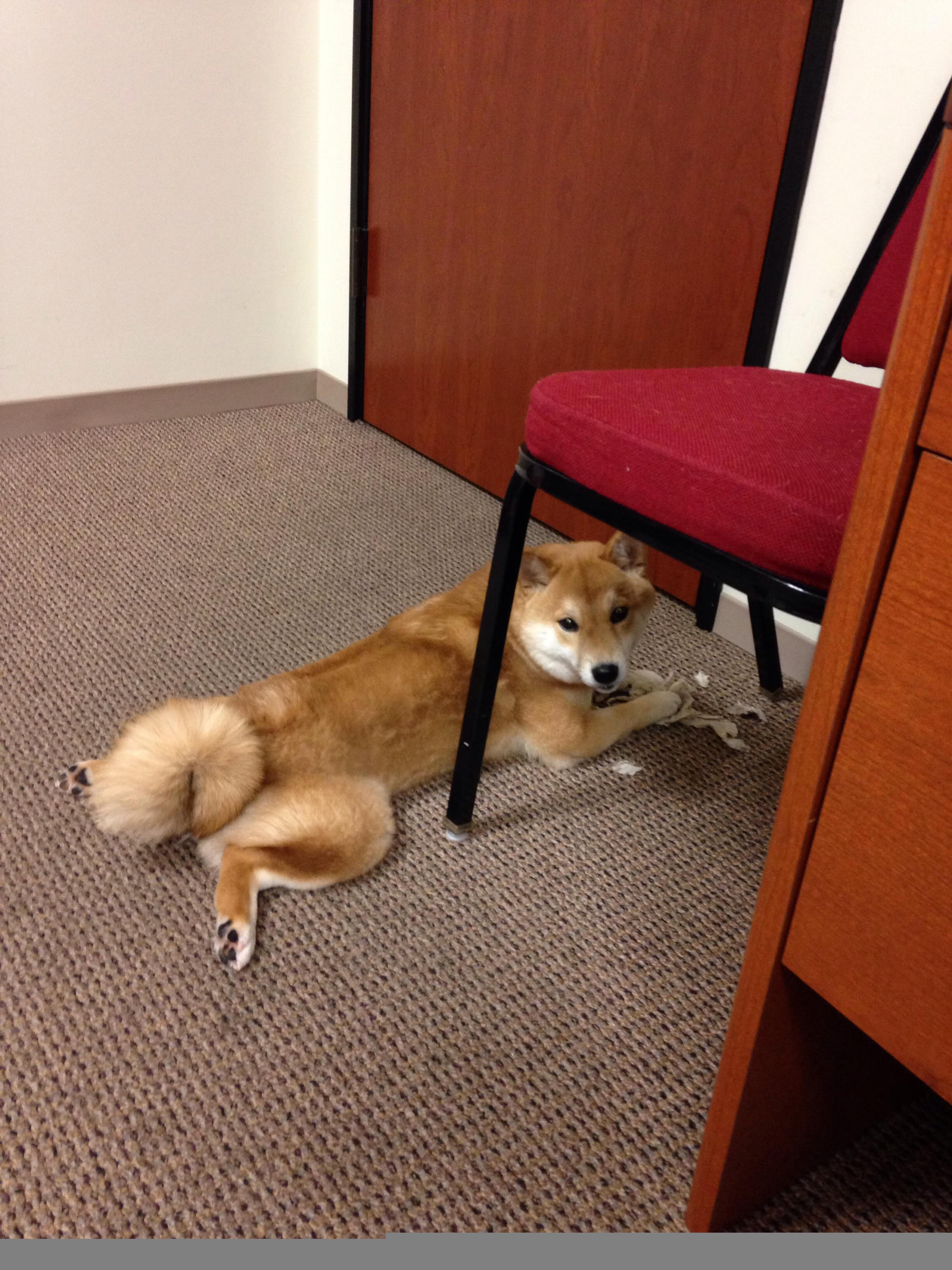 乐鱼电竞在线平台-女篮世界杯备战进入冲刺阶段全队状态逐步回暖，女篮球世界杯