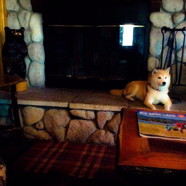 leyu乐鱼在线登录入口-校际联赛提升竞技热度，校际联赛什么意思