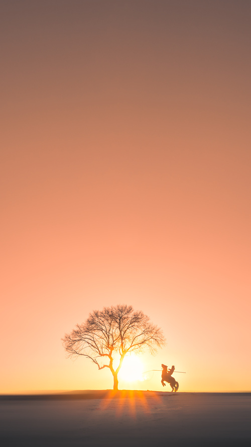 Leyu Sports (乐鱼体育)-谷爱凌携手品牌支持乡村滑雪发展，谷爱凌滑雪运动员谷爱凌