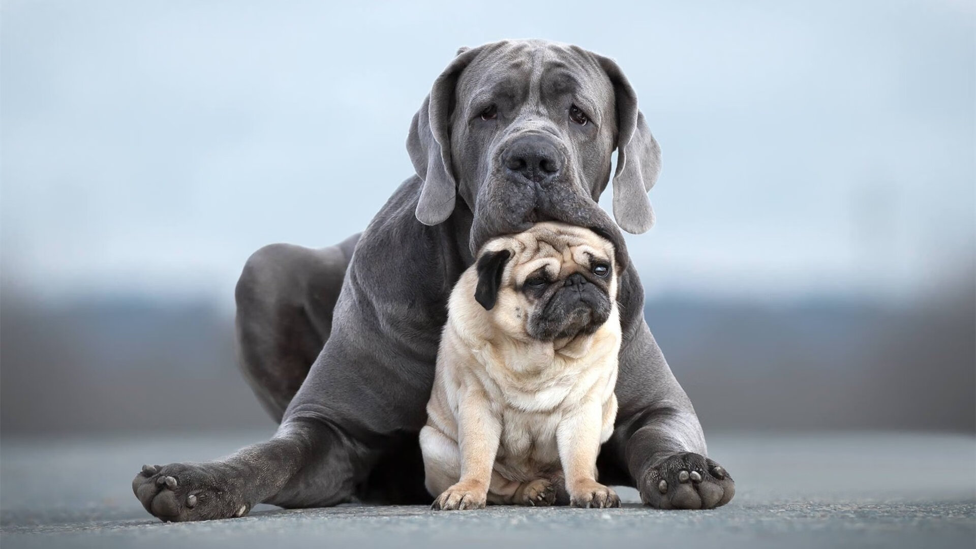 leyu乐鱼在线登录入口-足球运动员利用社交媒体打造个人影响力，拓展多元发展，足球社交是什么