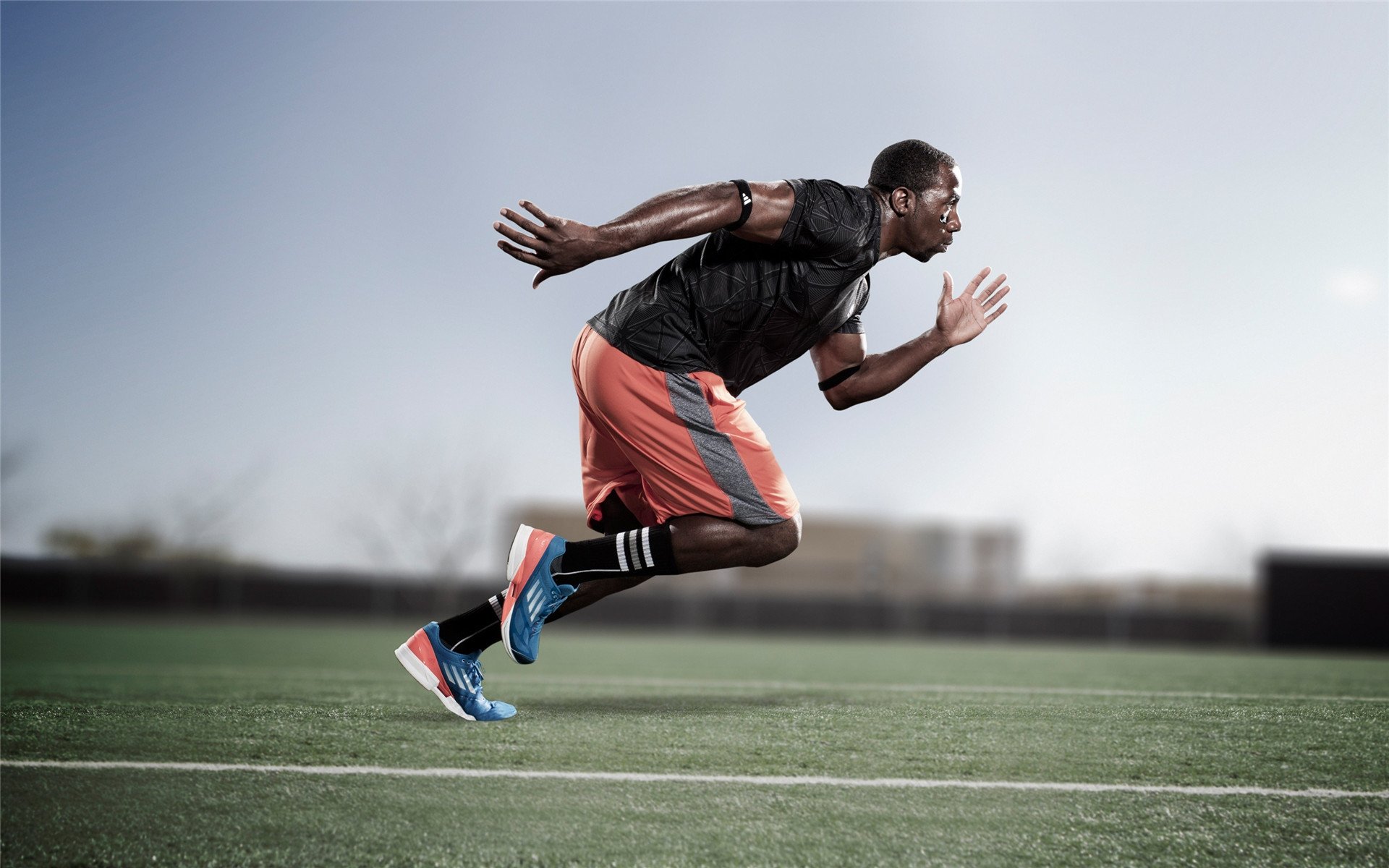 世界杯新一轮申办：东南亚四国公开联合意向 首提“热带世界杯”概念